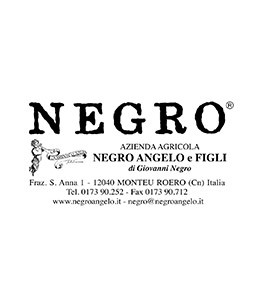 negro-angelo-e-figli-logo