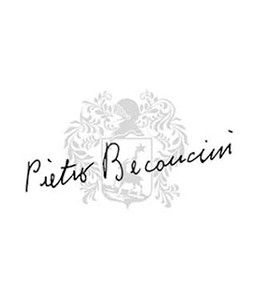 pietro-beconcini